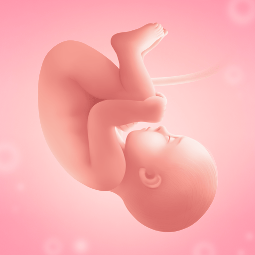 Pregnancy and Due Date Tracker MOD APK 3.101.0 (Gold Unlocked) Android icon